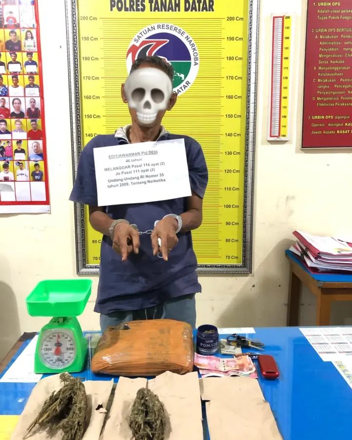 Sat Res Narkoba Polres Tanah Datar Amankan Barang Bukti Narkotika Jenis Daun Ganja