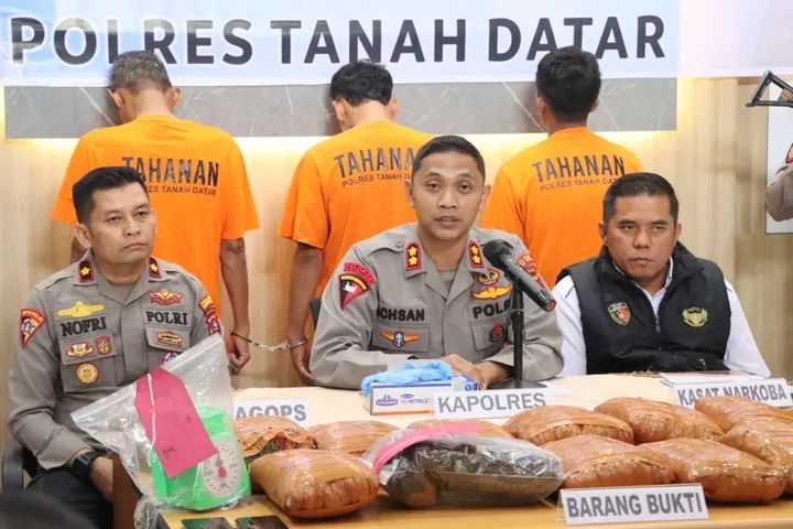 Ungkap 13 kg ganja kering, jajaran polres Tanah datar tangkap 3 tersangka di tempat yang berbeda