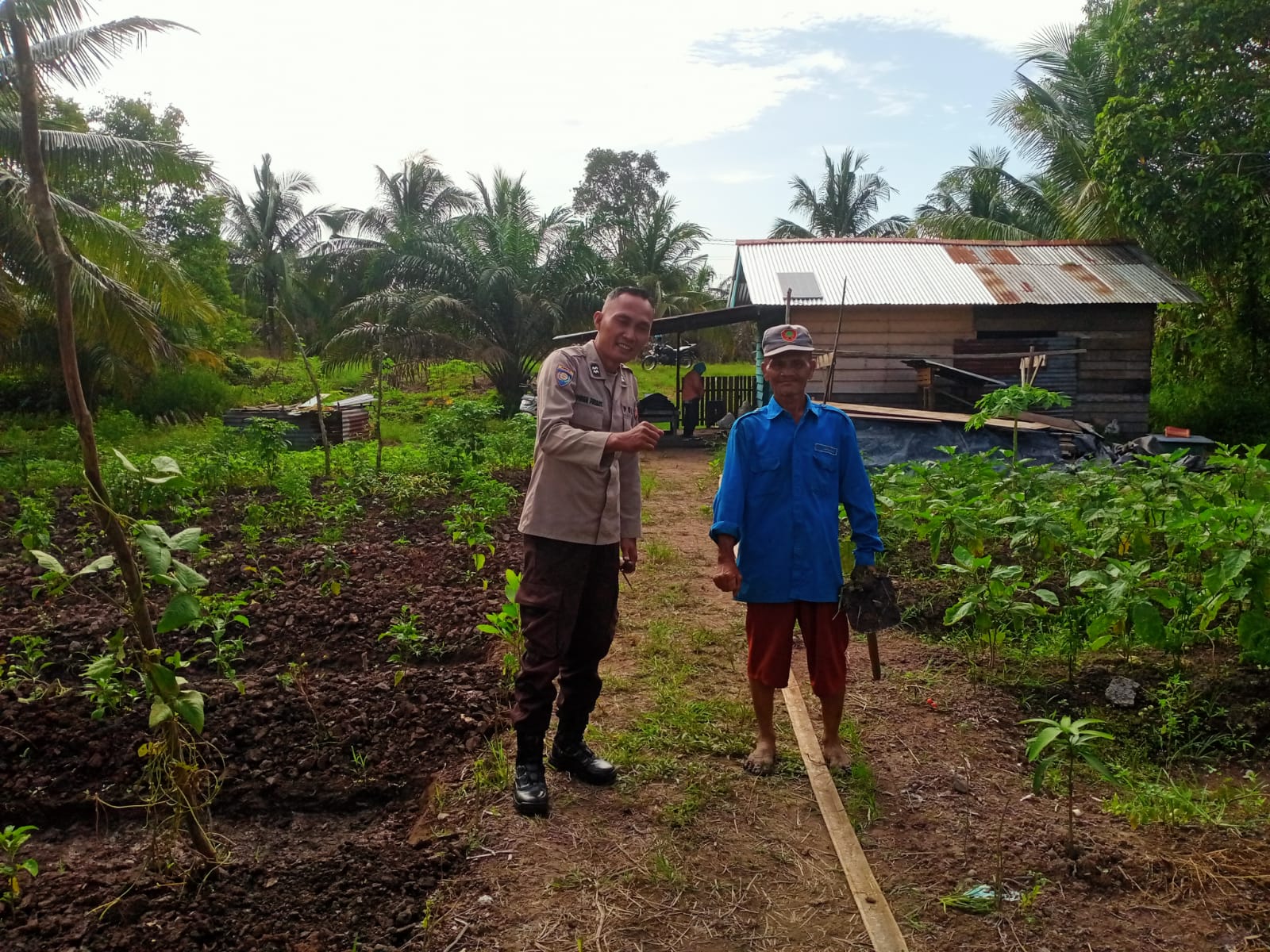 Cek Perkebunan Warga, Aiptu Amran Firdaus Mengungkapkan Petani Terkendala Pupuk