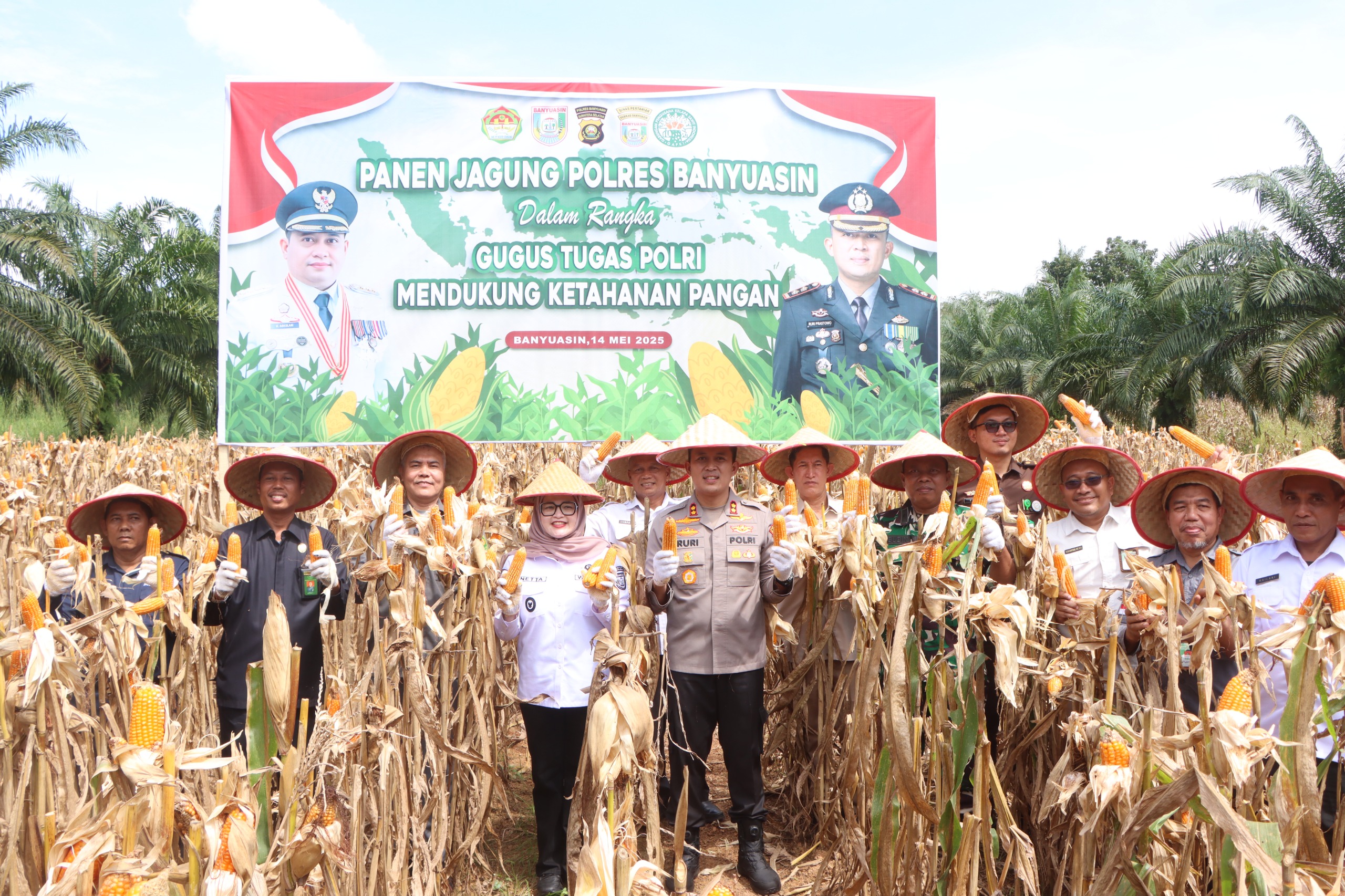 Polres Banyuasin Sukses Panen Jagung Perdana, Dukung Program Swasembada Pangan Nasional