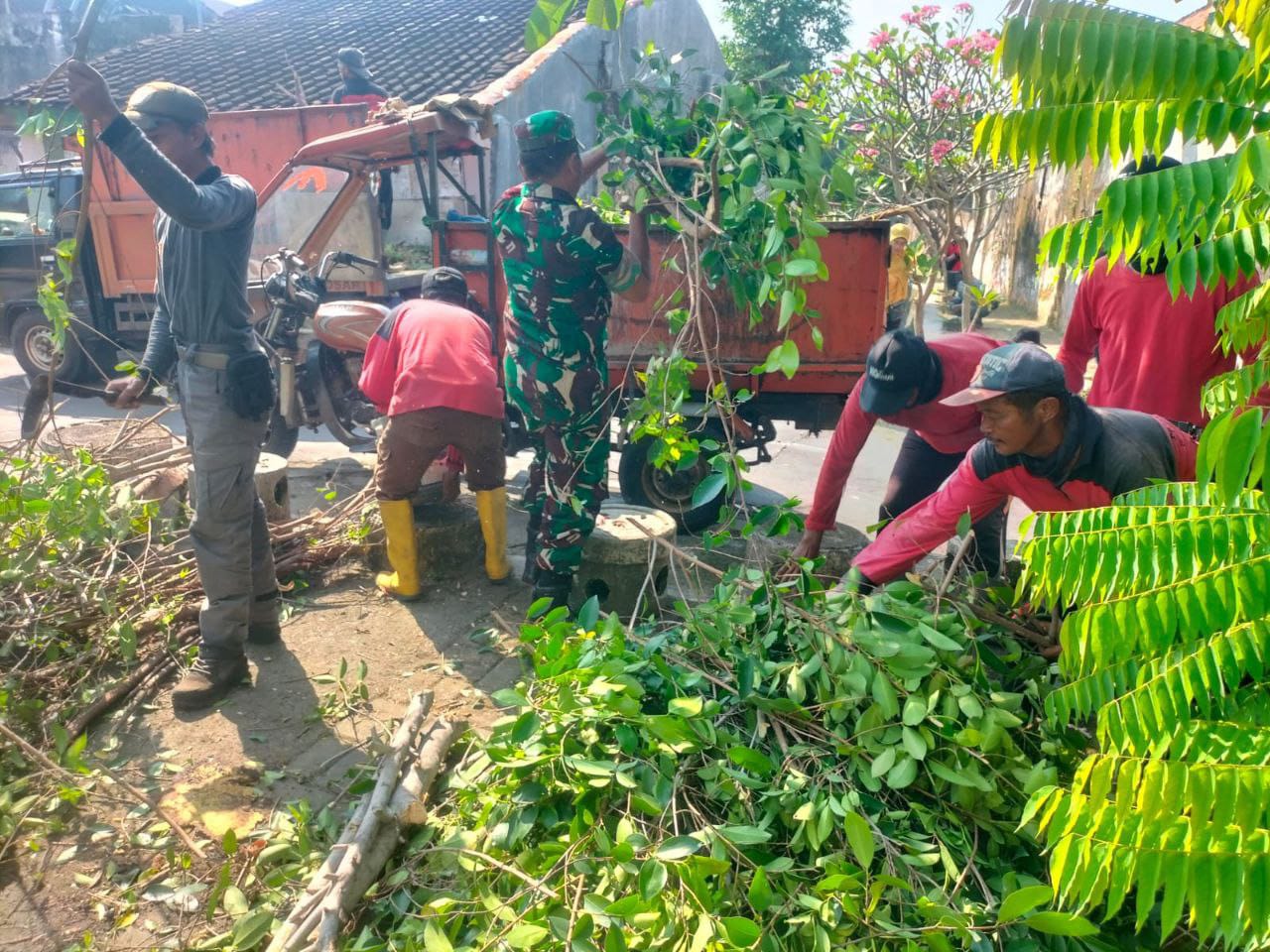 Cegah Terjadinya Musibah, Babinsa Purwosari Bersama Tim Saberling Laksanakan Pemangkasan Cabang Pohon.
