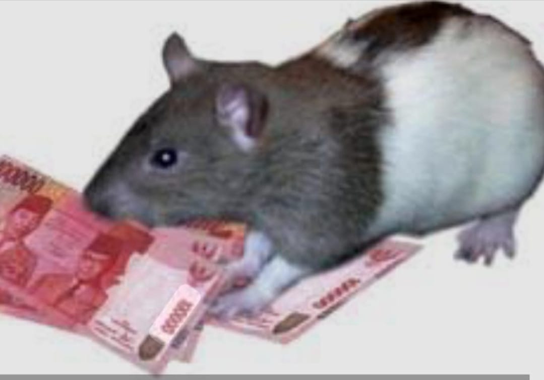 Pencairan Anggaran Kegiatan Kebugaran Jasmani dan Pengukuran Kebugaran Calon Jemaah Haji Tahun 2025 Pakai Tanda Tangan Palsu