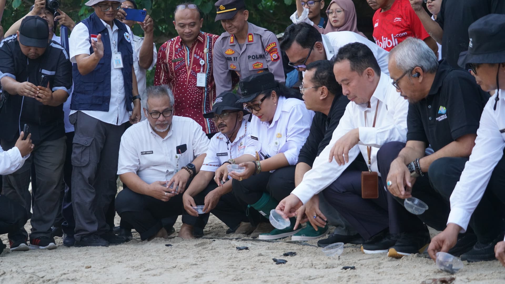 Lepas 101 Tukik di Pantai Wediombo, Bukti Pesisir Pantai Gunungkidul masih Lestari