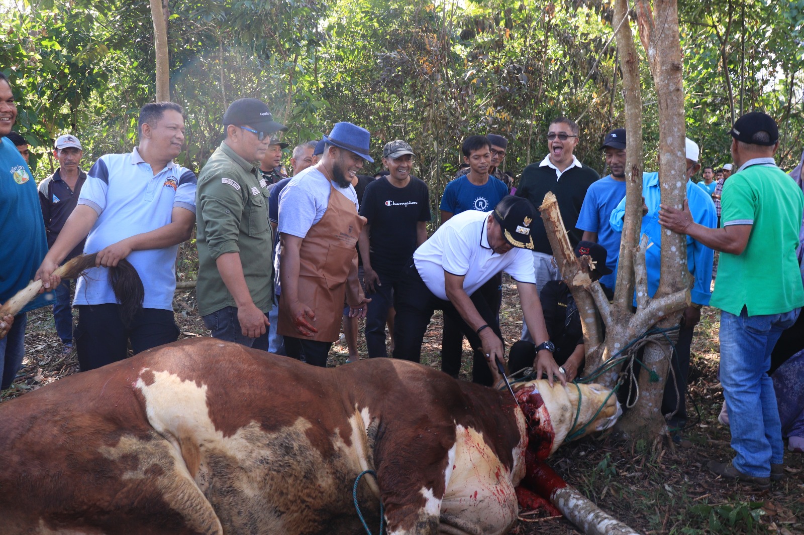 Sapi kurban Presiden Prabowo Untuk Masyarakat Kota Payakumbuh Diserahkan Wakil Wali Kota
