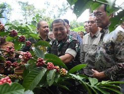 Danrem 072/Pamungkas Hadiri Panen Kopi Perdana Di Lereng Merapi
