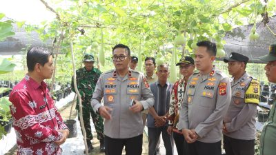 Brigjen Rudy Syafirudin Apresiasi Desa Percontohan P2B Banyuasin: “Tiap Rumah Harus Punya 7-8 Jenis Tanaman