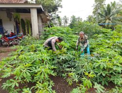 Dorong Masyarakat Manfaatkan Lahan Pekarangan Rumah