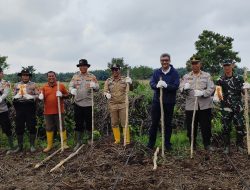 Dukung Swasembada Pangan, Kapolsek Rambutan Pimpin Penanaman Jagung Kuartal III