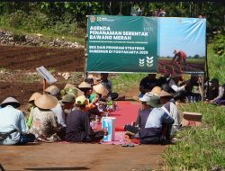Kalurahan Karangasem Kembangkan Budidaya Bawang Merah Lewat Dana Keistimewaan
