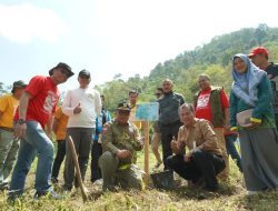 Sokong Jalur Pendakian Gunung Kerinci dari Solok Selatan, Pemkab Apresiasi Balai Besar TNKS
