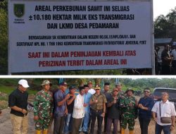 PT. JJP Diduga Mengambil Lahan Masyarakat Desa Pedamaran, Tim Merah Putih Turun Tangan