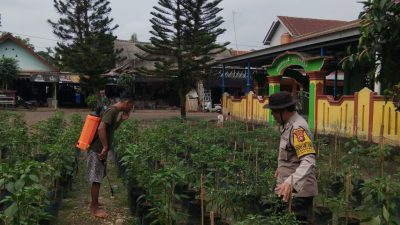 Bhabinkamtibmas Polsek Makarti Jaya Gerakkan Masyarakat Dukung Swasembada Pangan Nasional
