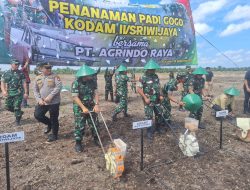 Polsek mariana monitoring dan pengamanan,penanaman padi Gogo di PT Agrindo raya desa pematang palas kec Banyuasin l kab Banyuasin.