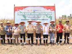 Polres Banyuasin Laksanakan panen Jagung serentak kuartal III untuk mendukung Swasembada pangan 2025
