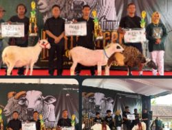 Wakil Bupati Gunungkidul Hadiri Kontes Ternak di Siyono, Dorong Peternak Tingkatkan Kualitas