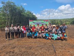 Polsek Rantau Bayur Dukung Ketahanan Pangan Melalui Penanaman Jagung di Desa Talang Kemang