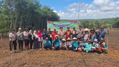 Polsek Rantau Bayur Dukung Ketahanan Pangan Melalui Penanaman Jagung di Desa Talang Kemang