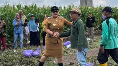 Panen Raya Perdana Lumbung Mataraman Piyaman, Wujud Desa Mandiri Pangan Gunungkidul
