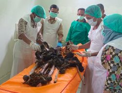 Misteri Tulang Belulang Di Kebun Pisang, Polisi Pastikan Proses Identifikasi di Bawah Pengawasan Polda Sumsel