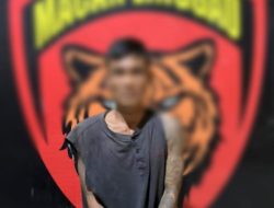 Pencuri Ponsel di Lubuk Linggau Diringkus Tim Macan Polres