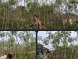 Bhabinkamtibmas Polsek pangkalan balai gelorakan program pekarangan pangan bergizi di warga binaannya.