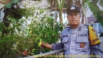 Bhabinkamtibmas Polsek Mariana Gerakkan Masyarakat Dukung Program P2B dan Swasembada Pangan