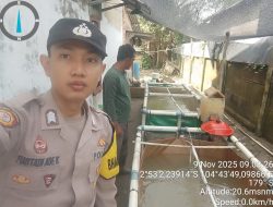 Bhabinkamtibmas Polsek Talang Kelapa Dorong Swasembada Pangan Melalui Program P2B