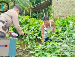 Bhabinkamtibmas Polsek Sungsang Gelar Himbauan Dukung Program Swasembada Pangan Presiden