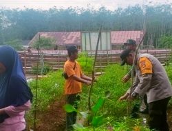 Polsek Pangkalan Balai Perkuat Ketahanan Pangan Melalui Perawatan Tanaman Jagung