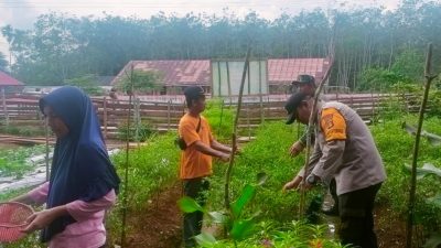 Polsek Pangkalan Balai Perkuat Ketahanan Pangan Melalui Perawatan Tanaman Jagung
