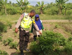 Bhabinkamtibmas Polsek Tanjung Lago Gerakkan Warga Desa Mulya Sari Dukung Swasembada Pangan