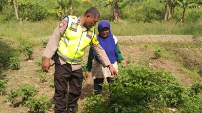 Bhabinkamtibmas Polsek Tanjung Lago Gerakkan Warga Desa Mulya Sari Dukung Swasembada Pangan