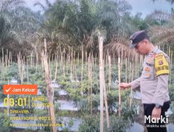 Bhabinkamtibmas Polsek Mariana Gerakkan Masyarakat Dukung Program Swasembada Pangan Presiden