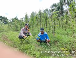 Bhabinkamtibmas Polsek Makarti Jaya Gerakkan Masyarakat Dukung Program Pangan Nasional