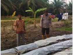Bhabinkamtibmas Polsek Air Kumbang Gerakkan Masyarakat Desa Cinta Manis Baru Dukung Program P2B dan Swasembada Pangan Nasional