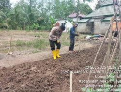 Polsek Makarti Jaya Galakkan Ketahanan Pangan dengan Tanam Jagung di Lahan Polsek