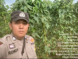 Bhabinkamtibmas Polsek Rambutan Galakkan Program Pekarangan Pangan Bergizi di Desa Pulau Parang
