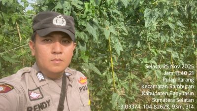 Bhabinkamtibmas Polsek Rambutan Galakkan Program Pekarangan Pangan Bergizi di Desa Pulau Parang
