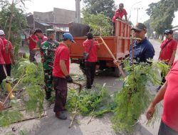 Gandeng Tim Saberling, Babinsa Joglo Laksanakan Kerja Bakti Ciptakan Lingkungan Yang Bersih Dan Sehat