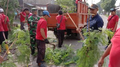 Gandeng Tim Saberling, Babinsa Joglo Laksanakan Kerja Bakti Ciptakan Lingkungan Yang Bersih Dan Sehat