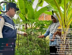 Bhabinkamtibmas Polsek Sungsang Gerakkan Masyarakat Dukung Program Swasembada Pangan Presiden