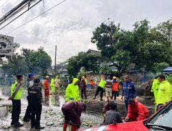 Respons Cepat PAMAPTA Polres Boyolali Saat Pohon Tumbang Timpa Mobil di Jalan Boyolali–Klaten
