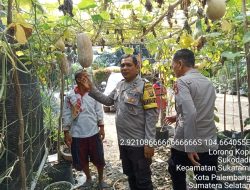 Bhabinkamtibmas Polsek Talang Kelapa Sosialisasikan Program P2B untuk Dukung Swasembada Pangan Nasional