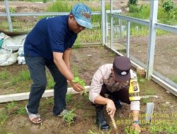 Bhabinkamtibmas Polsek Muara Telang Gerakkan Masyarakat Dukung Program Swasembada Pangan Presiden