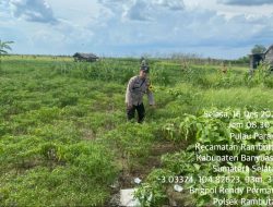 Bhabinkamtibmas Polsek Rambutan Gerakkan Warga Desa Pulau Parang Dukung Program Swasembada Pangan Presiden