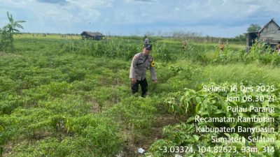 Bhabinkamtibmas Polsek Rambutan Gerakkan Warga Desa Pulau Parang Dukung Program Swasembada Pangan Presiden