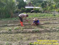 Bhabinkamtibmas Polsek Tungkal Ilir Gerakkan Warga Desa Sidomulyo Dukung Program P2B dan Swasembada Pangan