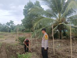 Bhabinkamtibmas Polsek Sungsang Tinjau Pertanian Warga, Dukung Program Ketahanan Pangan