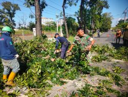 Babinsa Banjarsari Bersama DLH Dan Warga Masyarakat Kerja Bakti Perempelan Pohon Untuk Mitigasi Bencana