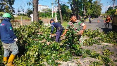 Babinsa Banjarsari Bersama DLH Dan Warga Masyarakat Kerja Bakti Perempelan Pohon Untuk Mitigasi Bencana